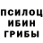 Галлюциногенные грибы мицелий Khristina Golovata
